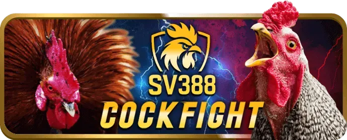 Hoàn trả cược thể thao vin33 nhà cái