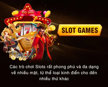 Đa dạng các môn thể thao và giải đấu tại vin33 nhà cái
