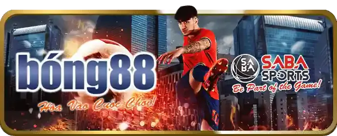 Nền tảng an toàn vin33 nhà cái